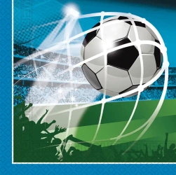 Dvouvrstvé ubrousky „Fotbal“, 33 × 33 cm, 20 ks