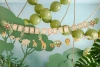 Papírový banner „Happy Birthday Safari“, 1,8 m, 1 ks