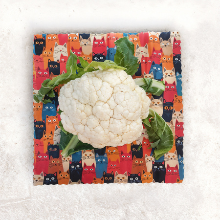 Wax "Kočky" Pack 1 x "S", 1 x "M", 1 x "L" 3 ks.