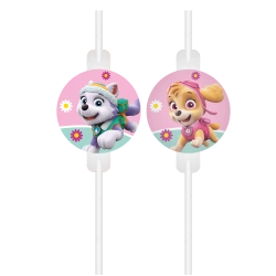 Papírová brčka Tlapková patrola Skye & Everest, 22 cm, 4 ks.