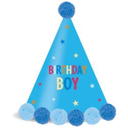 Papírové čepičky Birthday Boy, 1 ks